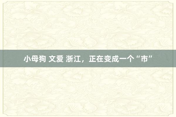 小母狗 文爱 浙江，正在变成一个“市”