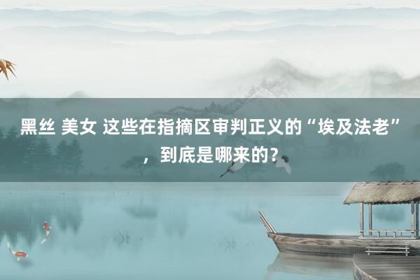 黑丝 美女 这些在指摘区审判正义的“埃及法老”，到底是哪来的？