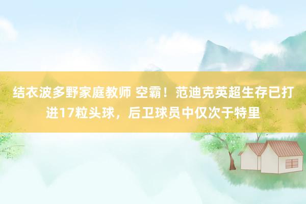 结衣波多野家庭教师 空霸！范迪克英超生存已打进17粒头球，后卫球员中仅次于特里
