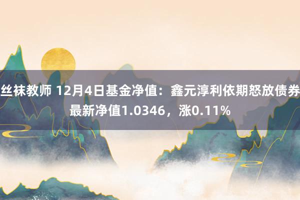 丝袜教师 12月4日基金净值：鑫元淳利依期怒放债券最新净值1.0346，涨0.11%