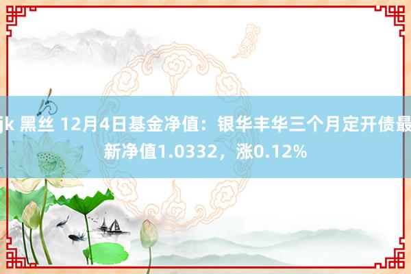 jk 黑丝 12月4日基金净值：银华丰华三个月定开债最新净值1.0332，涨0.12%