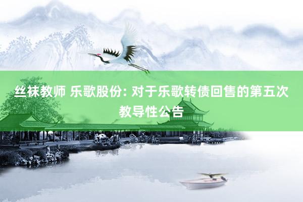 丝袜教师 乐歌股份: 对于乐歌转债回售的第五次教导性公告