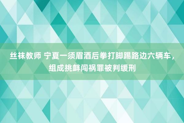 丝袜教师 宁夏一须眉酒后拳打脚踢路边六辆车，组成挑衅闯祸罪被判缓刑