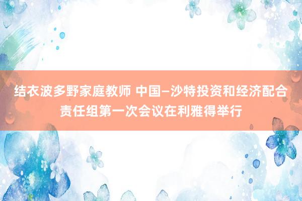 结衣波多野家庭教师 中国—沙特投资和经济配合责任组第一次会议在利雅得举行