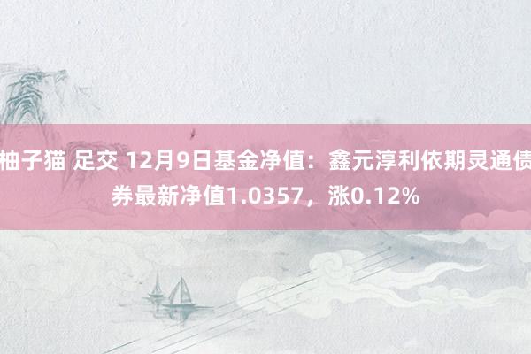 柚子猫 足交 12月9日基金净值：鑫元淳利依期灵通债券最新净值1.0357，涨0.12%