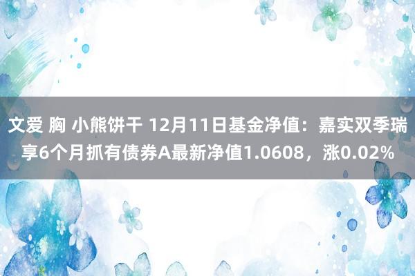 文爱 胸 小熊饼干 12月11日基金净值：嘉实双季瑞享6个月抓有债券A最新净值1.0608，涨0.02%