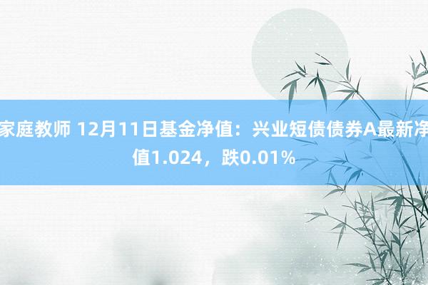 家庭教师 12月11日基金净值：兴业短债债券A最新净值1.024，跌0.01%