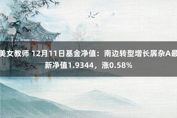 美女教师 12月11日基金净值：南边转型增长羼杂A最新净值1.9344，涨0.58%