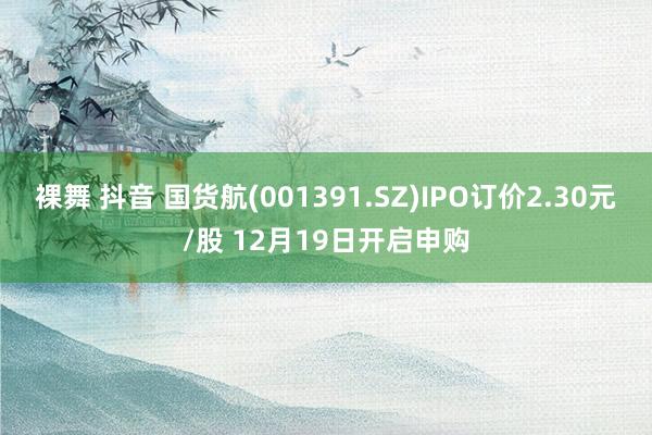 裸舞 抖音 国货航(001391.SZ)IPO订价2.30元/股 12月19日开启申购
