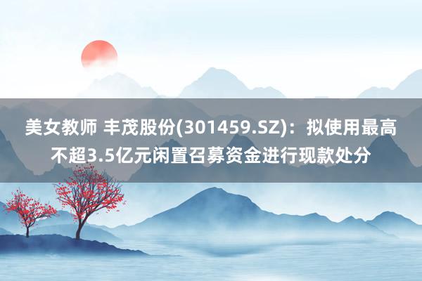 美女教师 丰茂股份(301459.SZ)：拟使用最高不超3.5亿元闲置召募资金进行现款处分