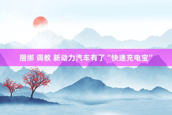 捆绑 调教 新动力汽车有了“快速充电宝”