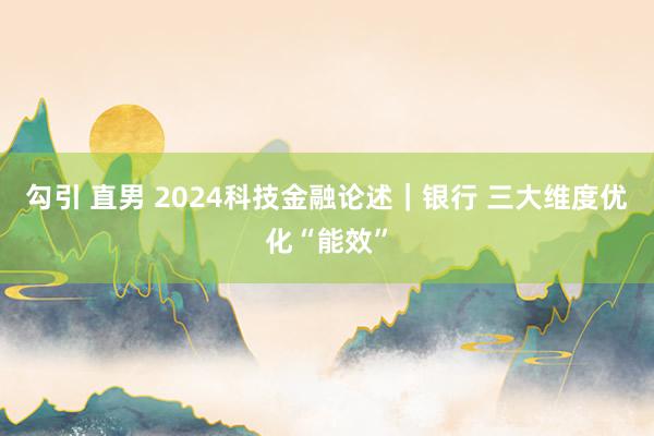 勾引 直男 2024科技金融论述｜银行 三大维度优化“能效”