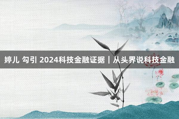婷儿 勾引 2024科技金融证据｜从头界说科技金融
