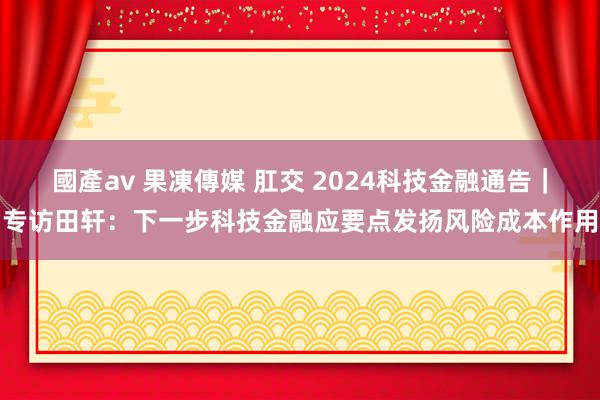 國產av 果凍傳媒 肛交 2024科技金融通告｜专访田轩：下一步科技金融应要点发扬风险成本作用