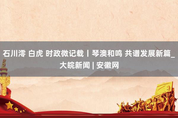 石川澪 白虎 时政微记载丨琴澳和鸣 共谱发展新篇_大皖新闻 | 安徽网