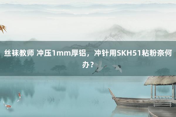 丝袜教师 冲压1mm厚铝，冲针用SKH51粘粉奈何办？