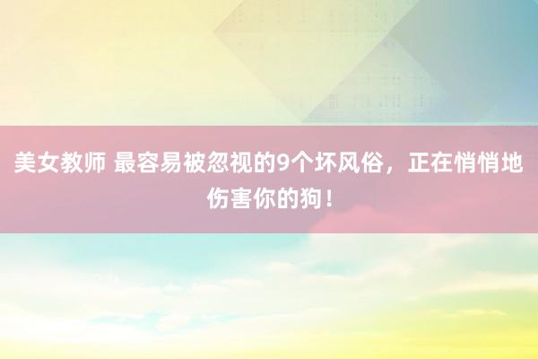 美女教师 最容易被忽视的9个坏风俗，正在悄悄地伤害你的狗！