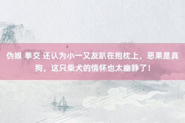 伪娘 拳交 还认为小一又友趴在抱枕上，恶果是真狗，这只柴犬的情怀也太幽静了！