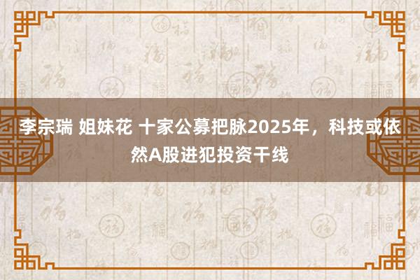 李宗瑞 姐妹花 十家公募把脉2025年，科技或依然A股进犯投资干线