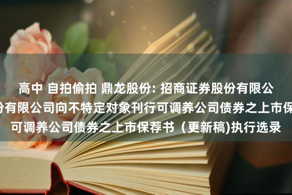 高中 自拍偷拍 鼎龙股份: 招商证券股份有限公司对于湖北鼎龙控股股份有限公司向不特定对象刊行可调养公司债券之上市保荐书（更新稿)执行选录