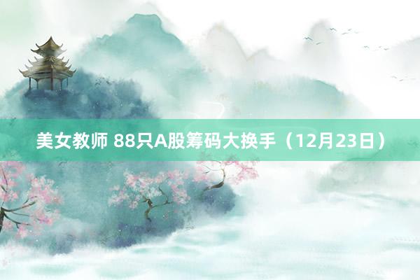 美女教师 88只A股筹码大换手（12月23日）