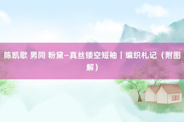 陈凯歌 男同 粉黛—真丝镂空短袖｜编织札记（附图解）