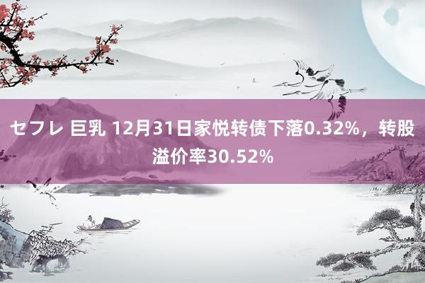セフレ 巨乳 12月31日家悦转债下落0.32%，转股溢价率30.52%