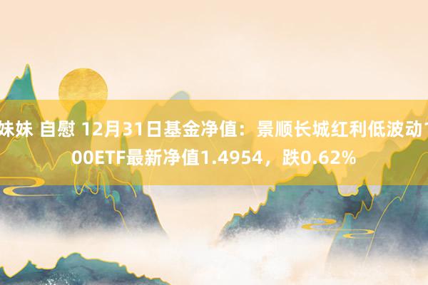 妹妹 自慰 12月31日基金净值：景顺长城红利低波动100ETF最新净值1.4954，跌0.62%