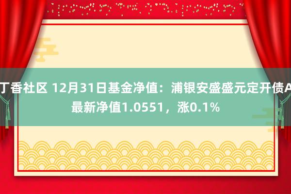丁香社区 12月31日基金净值：浦银安盛盛元定开债A最新净值1.0551，涨0.1%