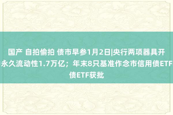 国产 自拍偷拍 债市早参1月2日|央行两项器具开释中永久流动性1.7万亿；年末8只基准作念市信用债ETF获批