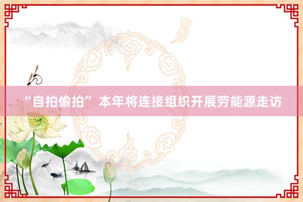 “自拍偷拍” 本年将连接组织开展劳能源走访
