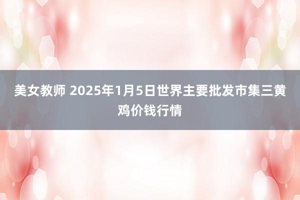 美女教师 2025年1月5日世界主要批发市集三黄鸡价钱行情