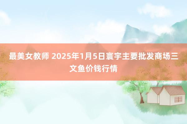 最美女教师 2025年1月5日寰宇主要批发商场三文鱼价钱行情