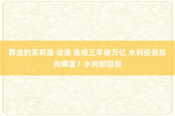 葬送的芙莉莲 动漫 连络三年破万亿 水利投资投向哪里？水利部回报