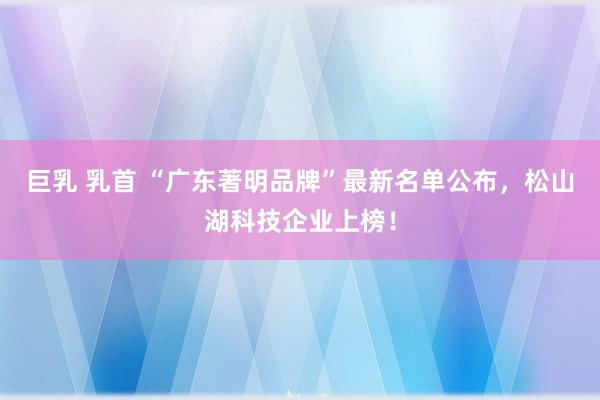 巨乳 乳首 “广东著明品牌”最新名单公布，松山湖科技企业上榜！