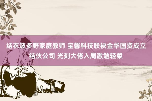 结衣波多野家庭教师 宝馨科技联袂金华国资成立结伙公司 光刻大佬入局激勉轻柔
