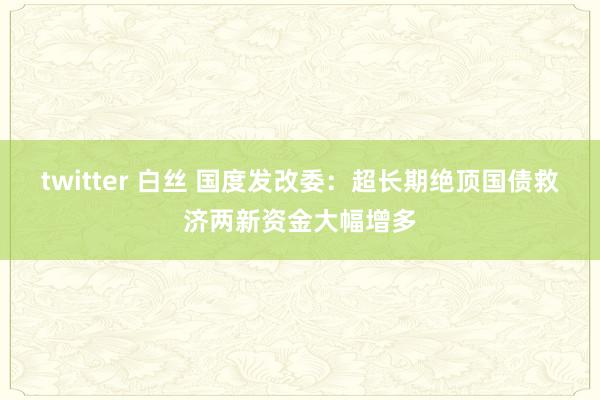 twitter 白丝 国度发改委：超长期绝顶国债救济两新资金大幅增多