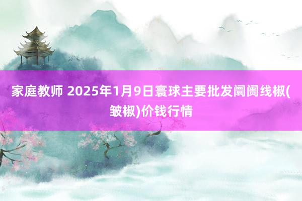 家庭教师 2025年1月9日寰球主要批发阛阓线椒(皱椒)价钱行情