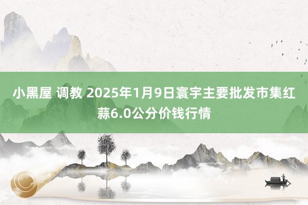 小黑屋 调教 2025年1月9日寰宇主要批发市集红蒜6.0公分价钱行情