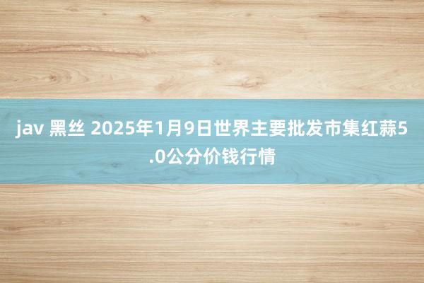 jav 黑丝 2025年1月9日世界主要批发市集红蒜5.0公分价钱行情