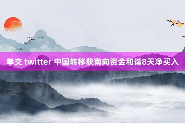 拳交 twitter 中国转移获南向资金和谐8天净买入