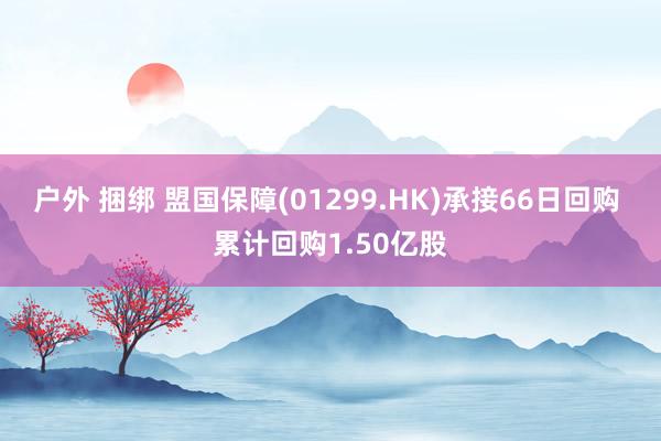户外 捆绑 盟国保障(01299.HK)承接66日回购 累计回购1.50亿股