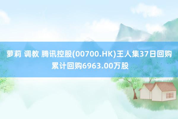 萝莉 调教 腾讯控股(00700.HK)王人集37日回购 累计回购6963.00万股