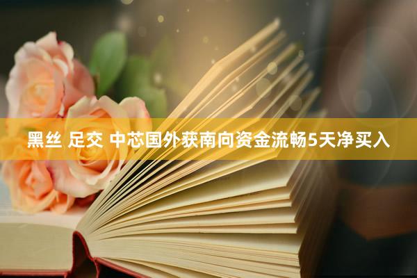 黑丝 足交 中芯国外获南向资金流畅5天净买入