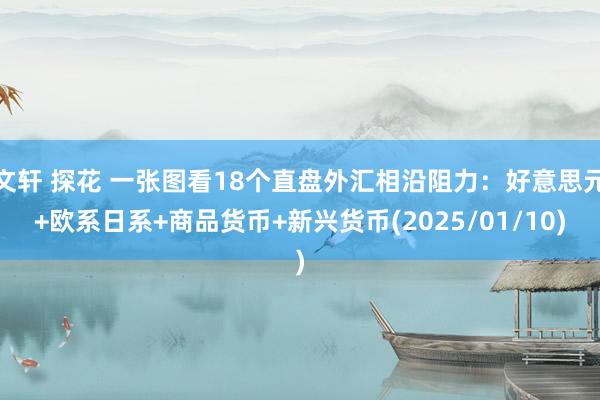 文轩 探花 一张图看18个直盘外汇相沿阻力：好意思元+欧系日系+商品货币+新兴货币(2025/01/10)