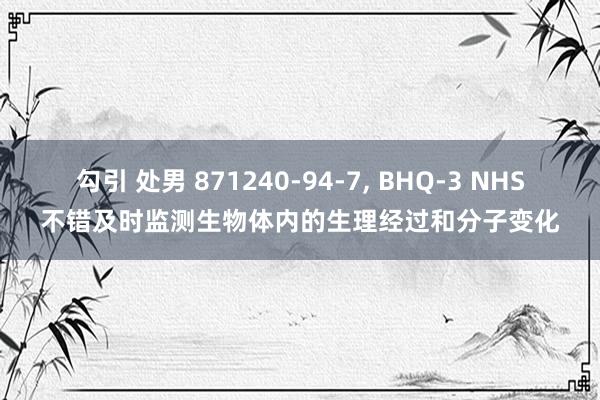 勾引 处男 871240-94-7， BHQ-3 NHS不错及时监测生物体内的生理经过和分子变化