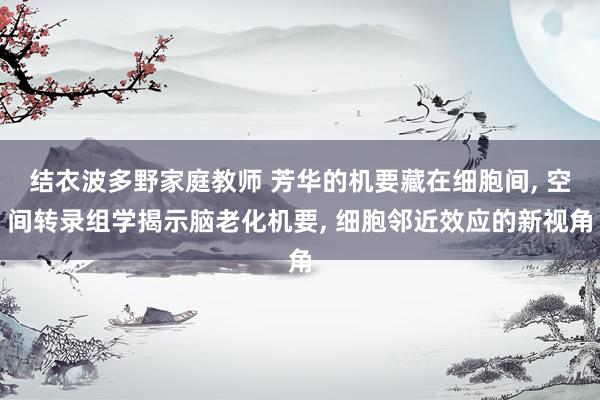 结衣波多野家庭教师 芳华的机要藏在细胞间， 空间转录组学揭示脑老化机要， 细胞邻近效应的新视角