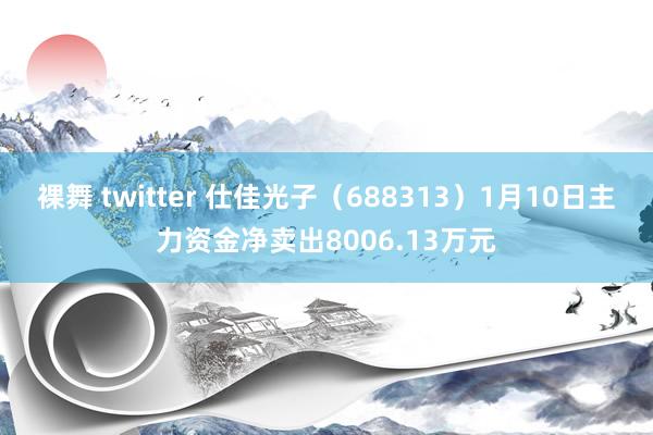 裸舞 twitter 仕佳光子（688313）1月10日主力资金净卖出8006.13万元