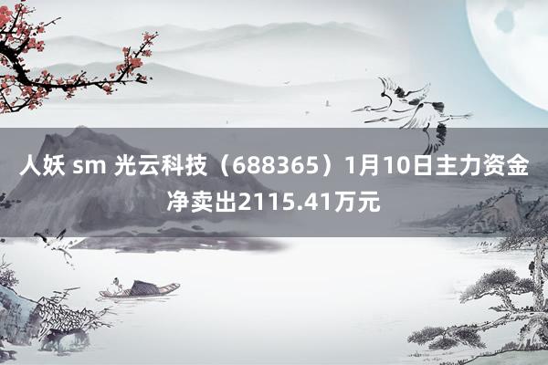 人妖 sm 光云科技（688365）1月10日主力资金净卖出2115.41万元