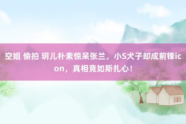 空姐 偷拍 玥儿朴素惊呆张兰，小S犬子却成前锋icon，真相竟如斯扎心！